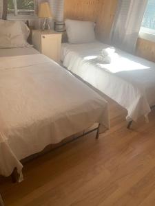 Chalet Rawdon Route 125