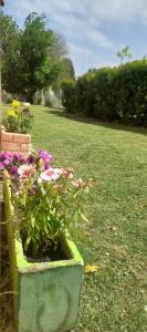 Se alquila casa por dia