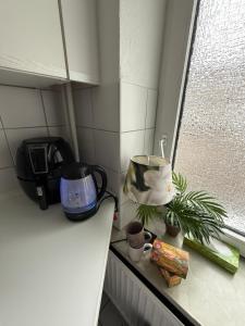 1 Zi Ferien Wohnung Kiel Mitte an der Universität zu Kiel-City, Alsenstrasse 17, kuschelig möbliert, auch als Schadenwohnung, eigener Parkplatz, 45 qm, große Wohnküche, , Wlan incl, je 3 Min zur Universitätsklinik zu Kiel, Ostsee, Seebäder,