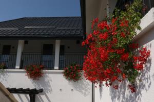 Casa Bolta Rece