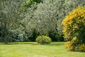 B&B / Chambres d'hotes Les Dames de Nage : photos des chambres