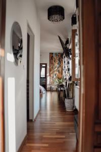 Apartament w centrum Brzeska 1