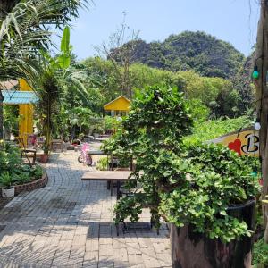 Tam Coc Homestay