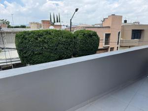 Studio Near Poliforum and Downtown