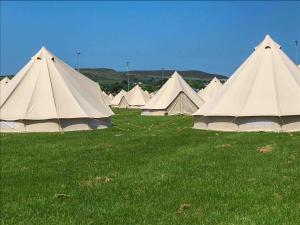 Isle of Man TT Campsite - IOMTT Colby Glamping