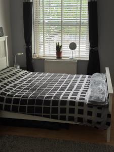 Bellingham apartment London