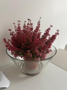 Northern Lights small apartment at Emmas Street 28, Riga