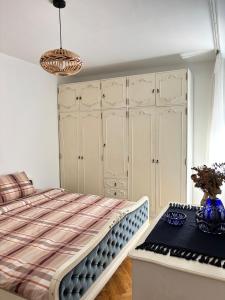 Spacious Apartment in Banovo Brdo