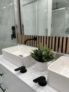 Apartament de lux Ion Mihalache