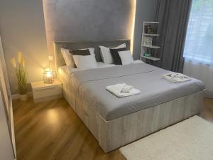 M&M Apartments CSV Home