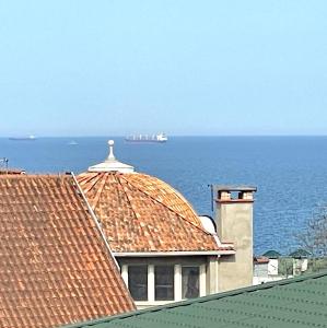 Гнездо у моря