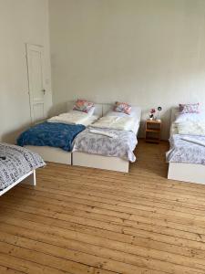 Cozy House with Garden and FreeParking