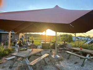 Erve Zonnehoeve Minicamping en Wijngaard