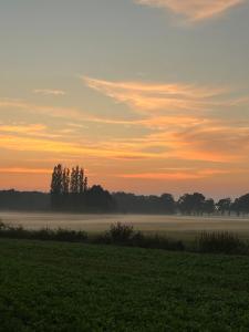 Erve Zonnehoeve B&B en Wijngaard