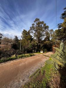 Cabaña vista a la sierra rodeada de verde