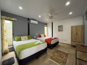 Brisas del Volcán BnB