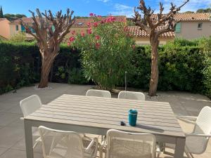 Mazet cosy climatisé terrasse privée et piscine