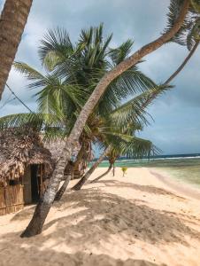 Tubazenika Paradise Lodge - San blas