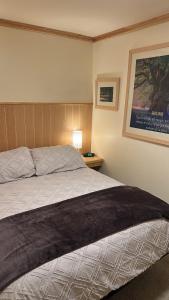 Casa del Bosque - Hermosa y Cálida Cabaña en Huitzilac - 22 huéspedes