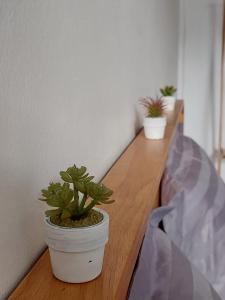 Downtown Entire House - Mae Moli