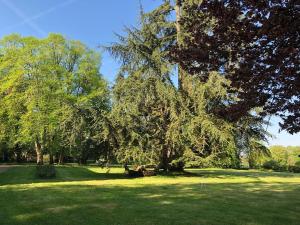 Château de Chalivoy-la-Noix