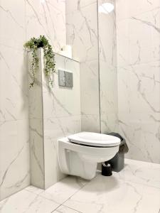 Charm Two-Room Apartment