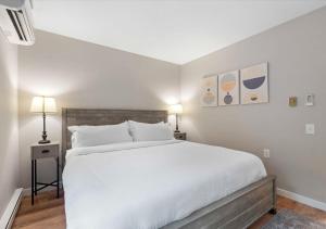 Willy St Apt Pets and Parking free - Fully Furnished
