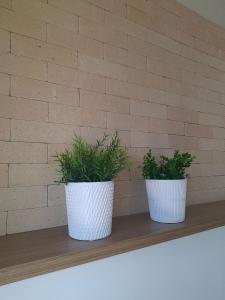 Novo apartamento com terraço privativo – CopacabanaIpanema