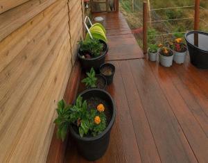 Cabin at Animal Rescue Sanctuary - Sleeps 2