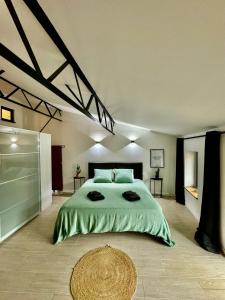 Grande maison de charme près de Carcassonne avec terrasse et jardin