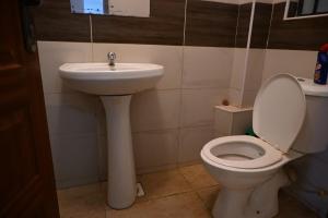 Milele Homes- Ruaka View Aprt