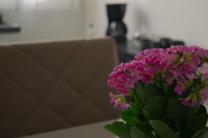 Apartamento dalias em Holambra