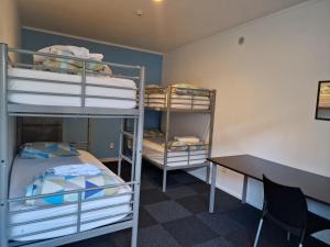 Palm Tree Apartments & backpackers