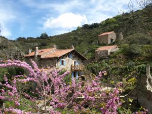 Maisons de vacances La Bergerie et La Grange du Moulin de Tredos : photos des chambres