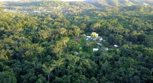 Lower Dover Jungle Lodge & Maya Ruins