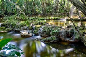 Lower Dover Jungle Lodge & Maya Ruins