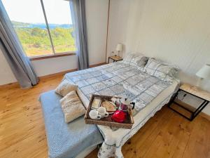 Bosque y Mar Chiloé