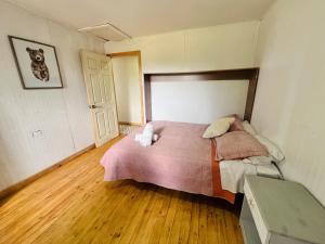 Bosque y Mar Chiloé