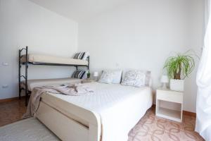 Villa dei Fiori Apartments