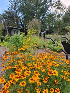 Dromore House Historic Country house