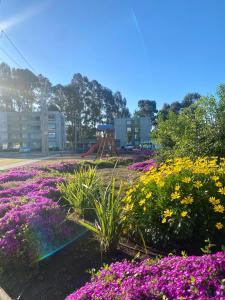 Departamento 3D 2B acogedor y totalmente equipado Estacionamiento incluido