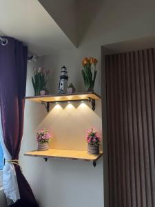 Avida Towers Davao Condotel