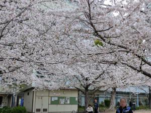 2階 難波駅の真横に位置するモダンアパートメント ベッド5台 シャワー2台