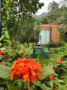 Solaria Garden Sóc Sơn