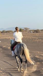 Essa camp in Wahiba Sands