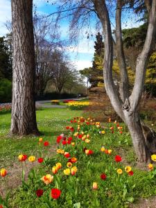 Magitti appartamento