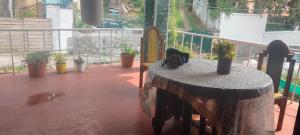 VHP luxury cottage kodaikkanal