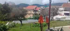 VHP luxury cottage kodaikkanal