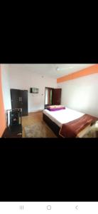 Pumpkin Tourist lodge