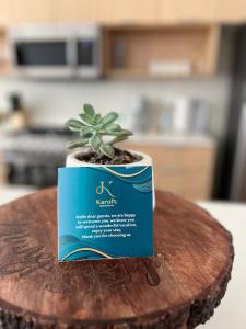 Karol apartments with jacuzzi Seaview